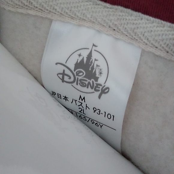 NWT! Disney "Winnie the Pooh" Hooded Sweatshirt - Picture 6 of 10